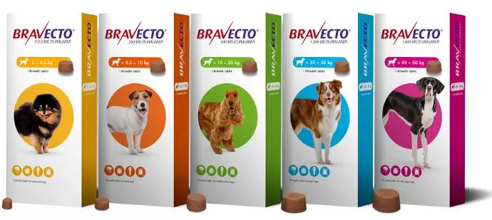 Bravecto Chewable Tablet for Dogs Dog Flea Tablet VetMedi