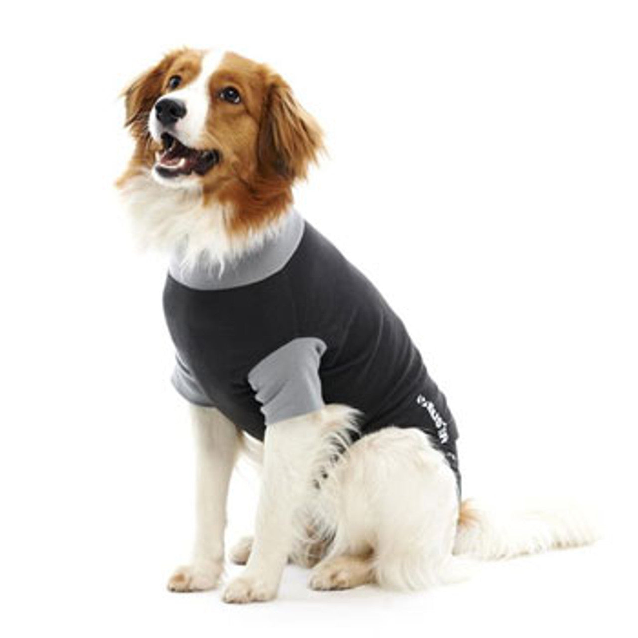 Post surgery suit for dogs hotsell