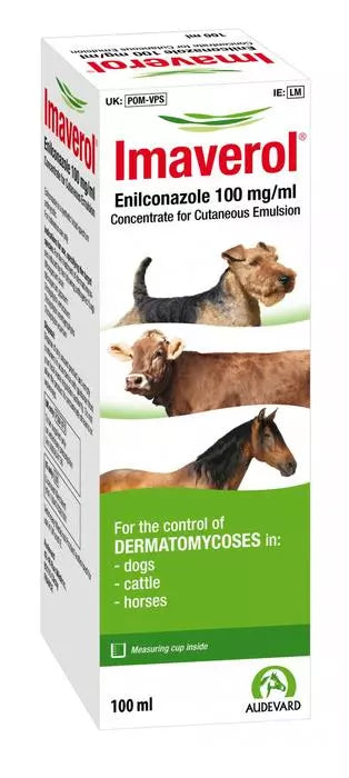 Canine 2024 ringworm treatment