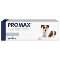 Promax Paste Syringe