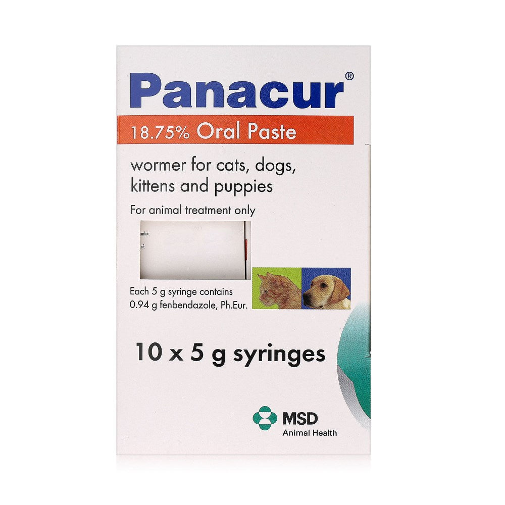 Panacur 18.75% Oral Paste for Cats and Dogs 1 x 5g Syringe