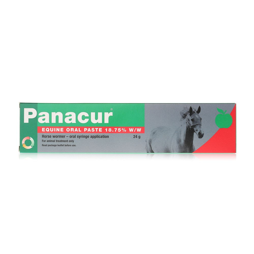 Panacur Equine Oral Paste Apple And Cinnamon x 1 Syringe