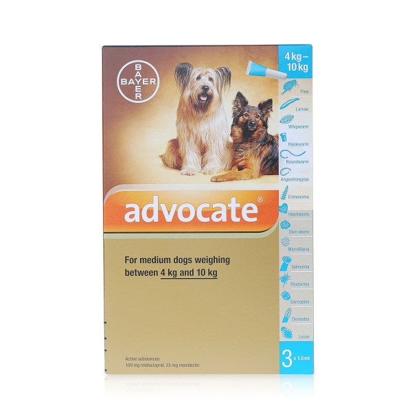 Advocate for Dogs 100 Spot On -  Medium Dogs 4-10kg