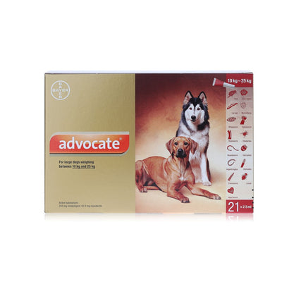 Advocate for Dogs 250 Spot On -  Large Dogs 10-25kg