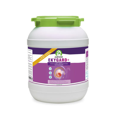 Audevard Ekygard+ Gastric Support For Horses