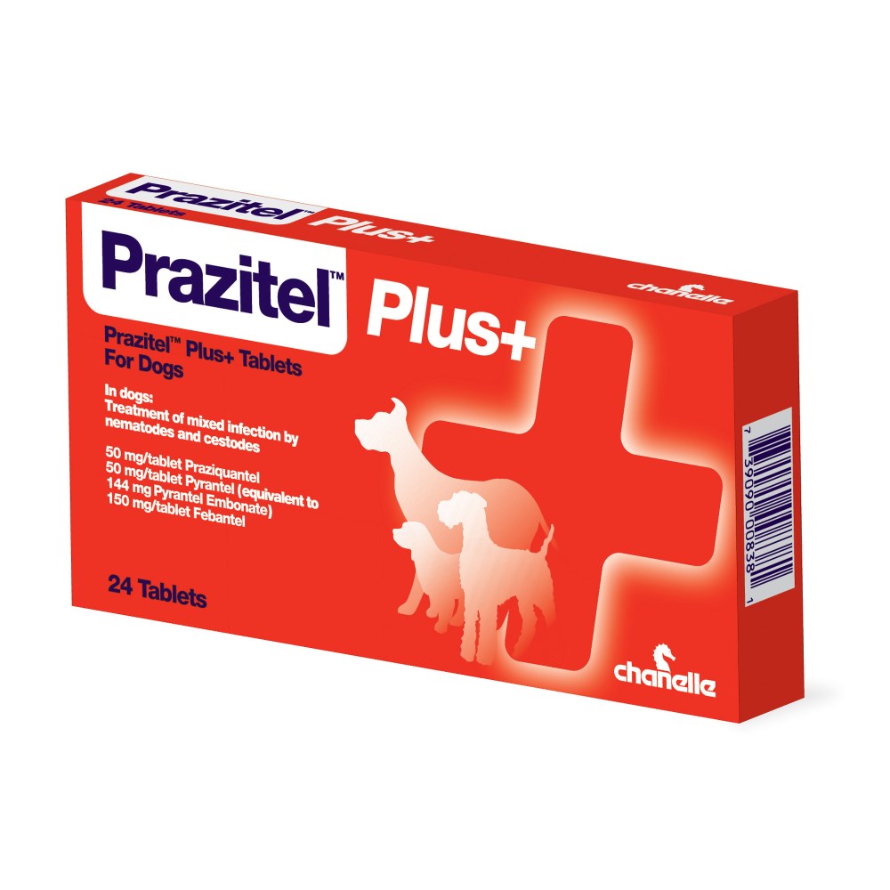 Praziquantel pyrantel best sale