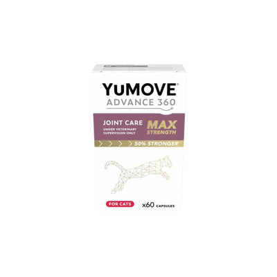 YuMove Advance 360