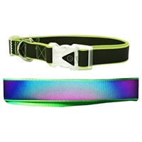 Go Walk LED Reflective Rainbow Collar