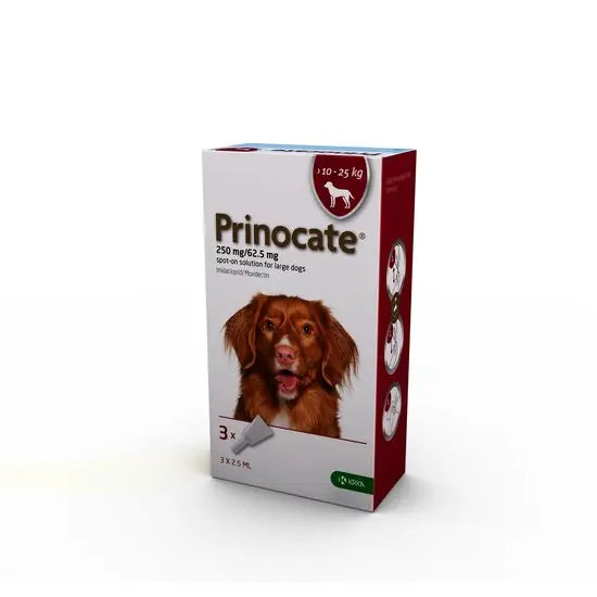 Dog Wormers Worming Tablets For Dogs Dewormer VetMediUK