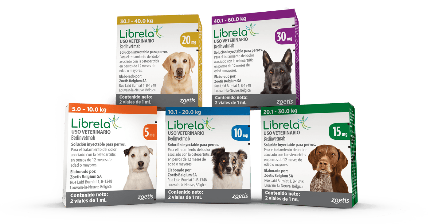 Librela® Solution for Injection for Dogs