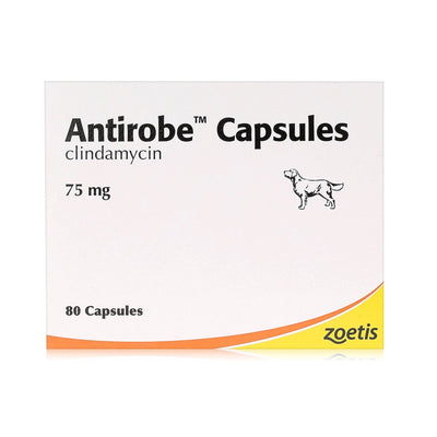 Antirobe Capsules (per tablet)