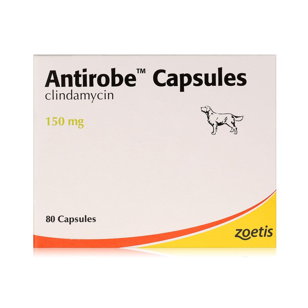 Antirobe Capsules (per tablet)