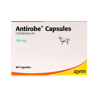 Antirobe Capsules (per tablet)