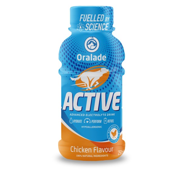 Oralade Active 250ml x 6