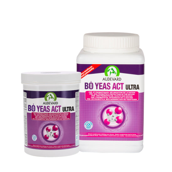 Audevard Bo Yeas Act Ultra for Horses- Digestion Aid - Probotics & Nutrients