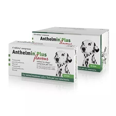 Anthelmin Plus for Dogs & Puppies - Antiparasite Treatment For Roundworms/Tapeworms - Pack of 4