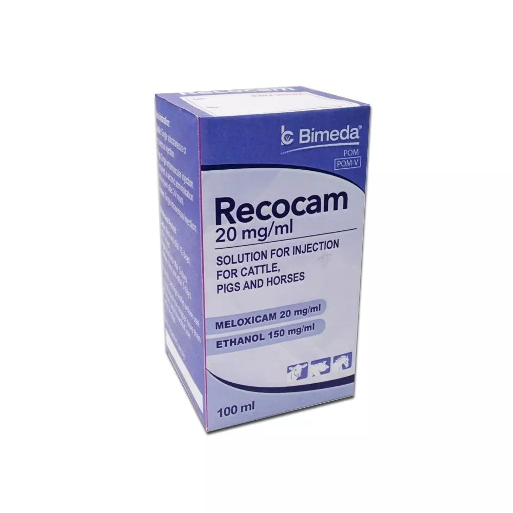 Recocam 20 mg/ml solution for injection for cattle, pigs and horses