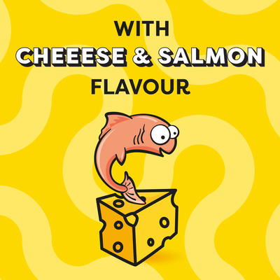 Dreamies Salmon & Cheese Cat Treats 60g