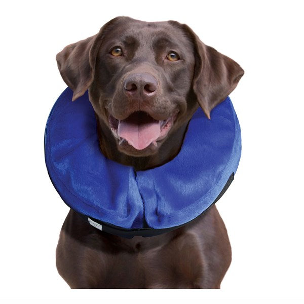 Kong Cloud Inflatable Collar