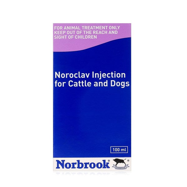 Noroclav Injection