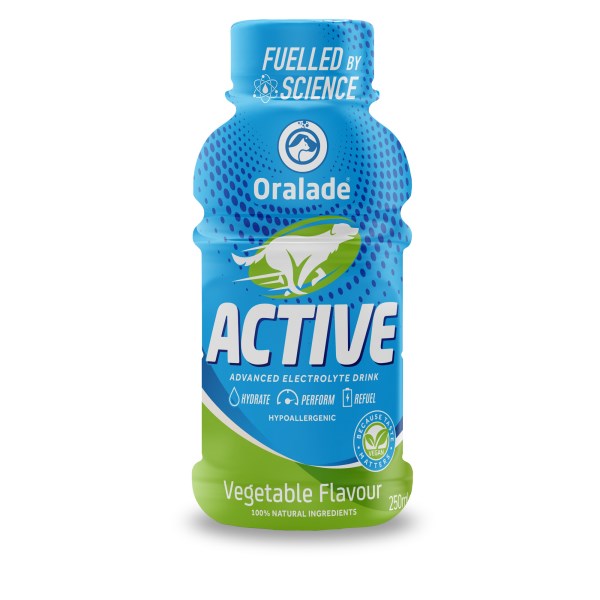 Oralade Active 250ml x 6