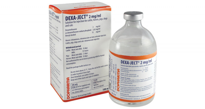 Dexa-Ject 2mg/ml 100ml