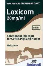 Loxicom Solution for Injection