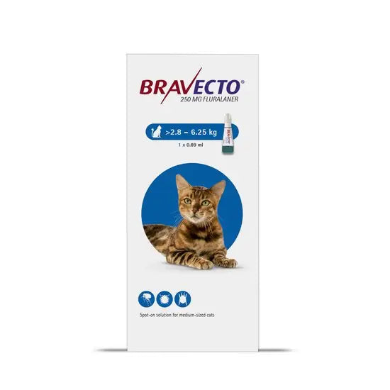 Bravecto 250mg Spot-On Solution For Medium Cats (2.8kg - 6.25kg)