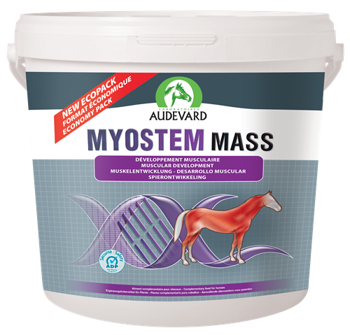 Audevard Myostem Mass- Muscular Development Support For Horses 6kg