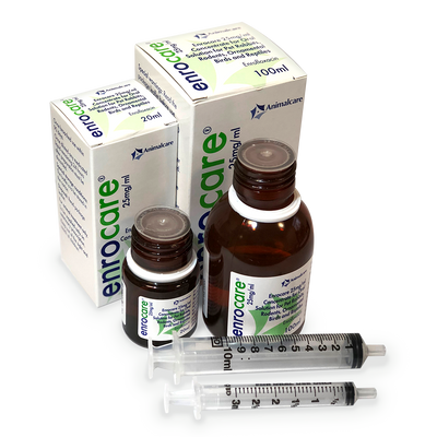 Enrocare 25mg/ml Concentrate for Oral Solution
