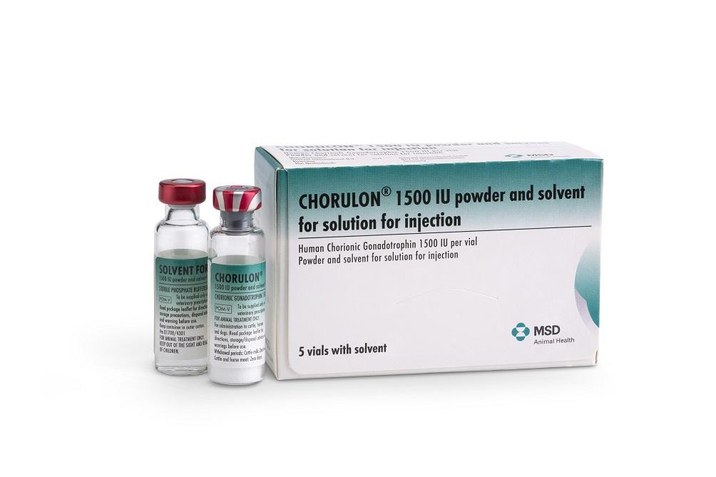 Chorulon® 1500 IU, Powder & Solvent For Solution For Injection - 5 Vials