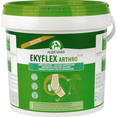 Audevard Ekyflex Arthro EVO - Joint Supplement Support