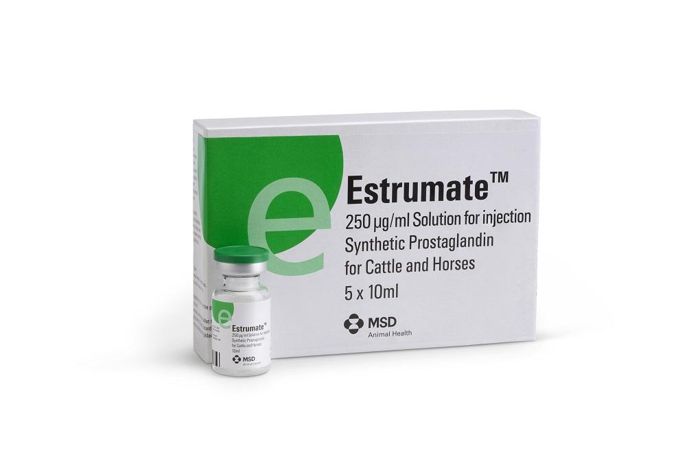 EstrumateTM 250 µg/ml Solution for injection