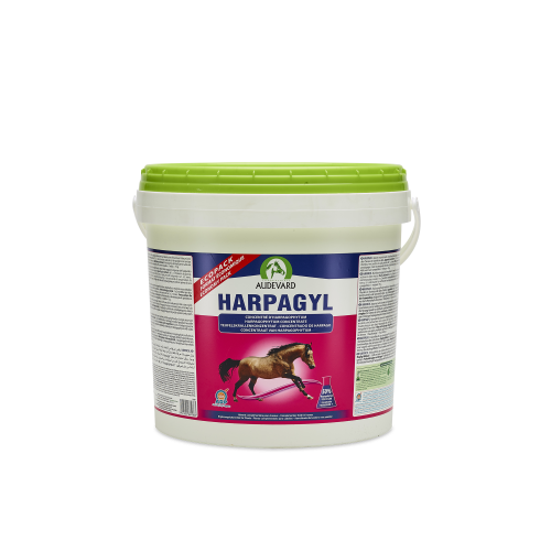 Audevard Harpagyl Joint Support For Active & Older Horses